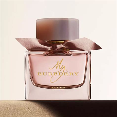 burberry perfume that smells like vanilla|best discontinued burberry fragrance.